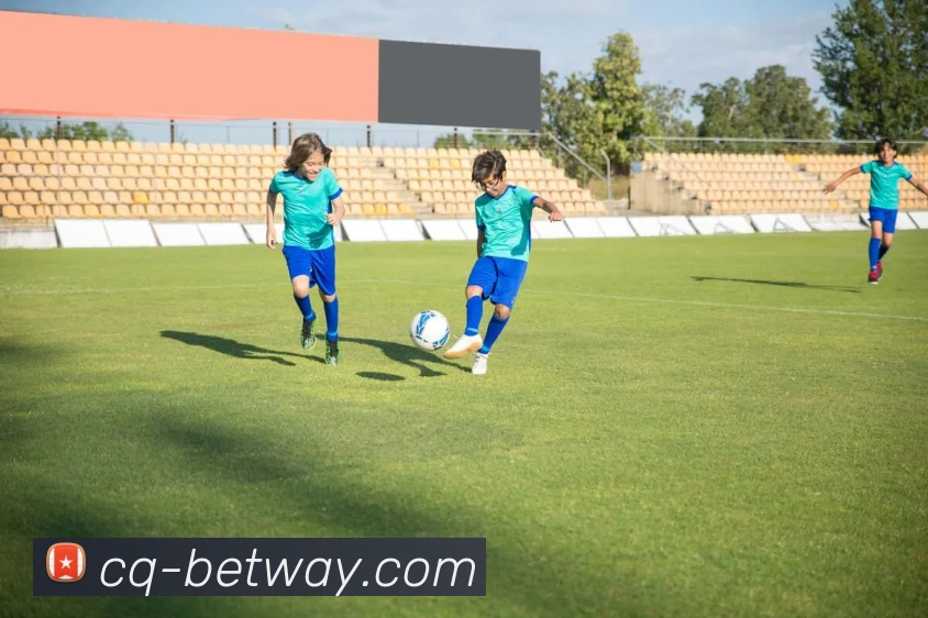 必威BETWAY官网服务体系